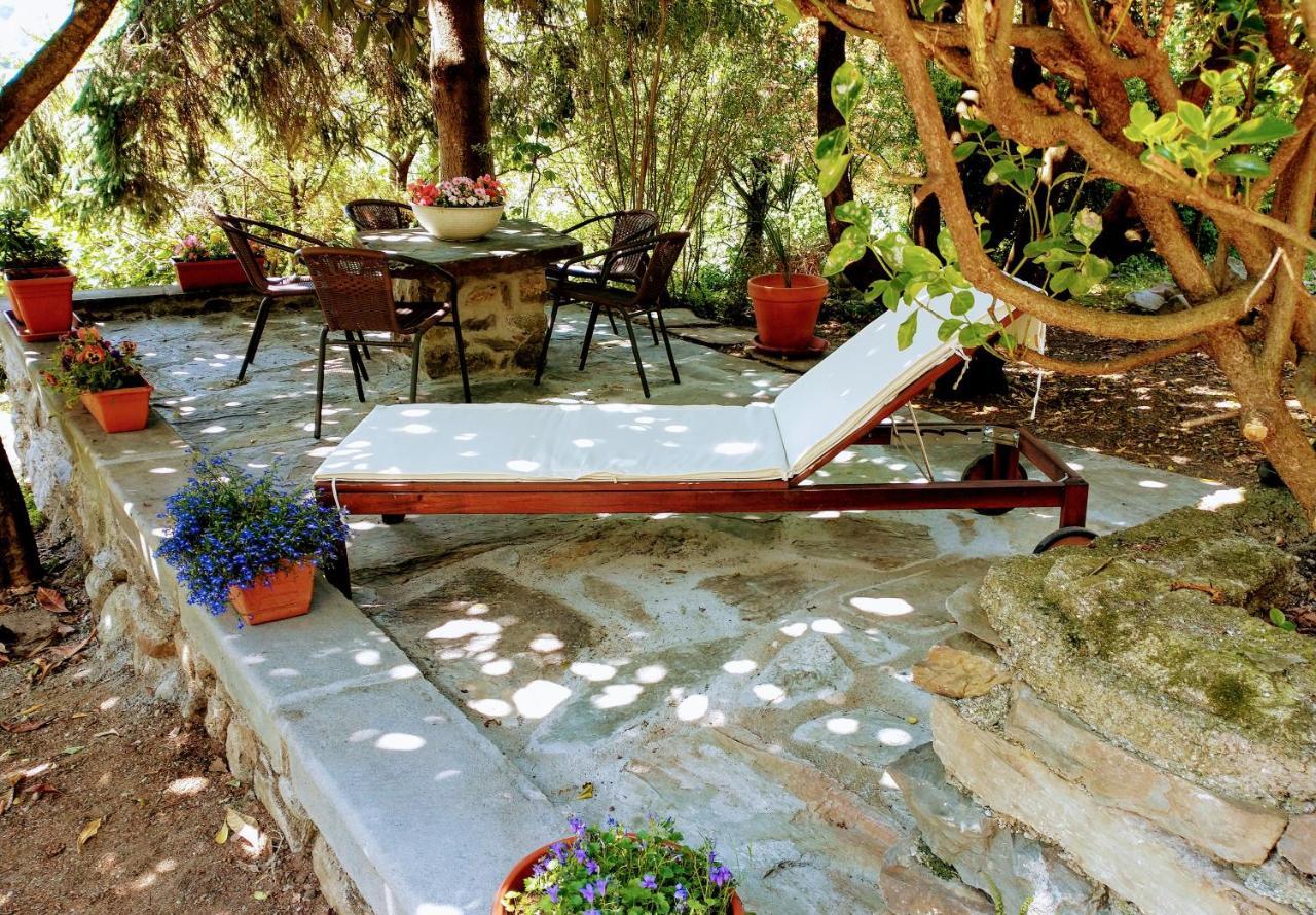 Casa Visnenza Bed & Breakfast Capo di Ponte Экстерьер фото